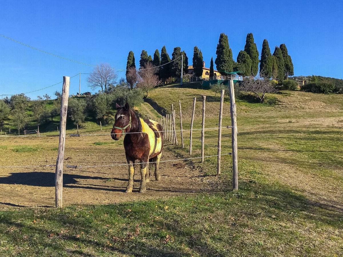 Agriturismo Le Vignacce Villa Santa Luce Eksteriør billede
