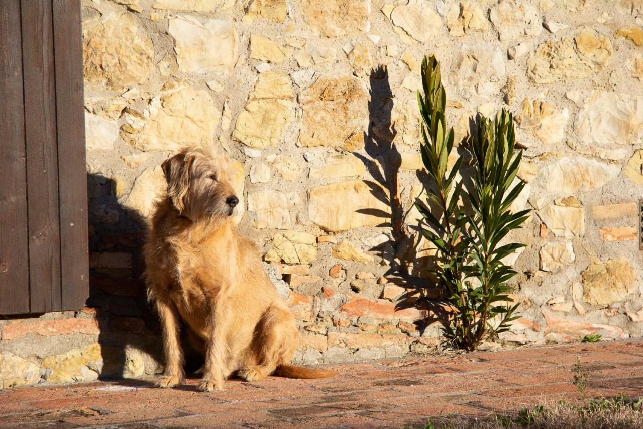 Agriturismo Le Vignacce Villa Santa Luce Eksteriør billede